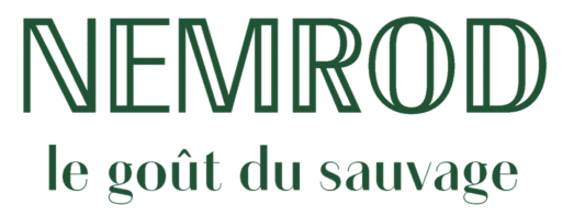 Logo couleur Nemrod