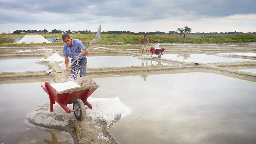 atelier du sel