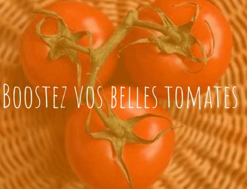Les beaux jours sont là ! comment booster vos belles tomates avec des produits d’épicerie fine ?